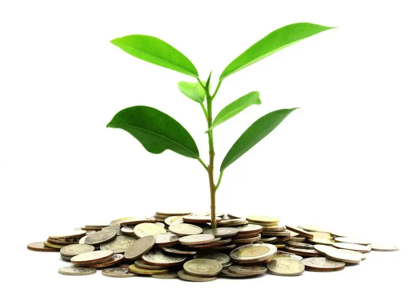 Инвестиции SKF в сохранение экологии | Свежие новости в Ульяновске