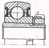 Модификация подшипника 6-1680205АК10 размер 25x62x18/31